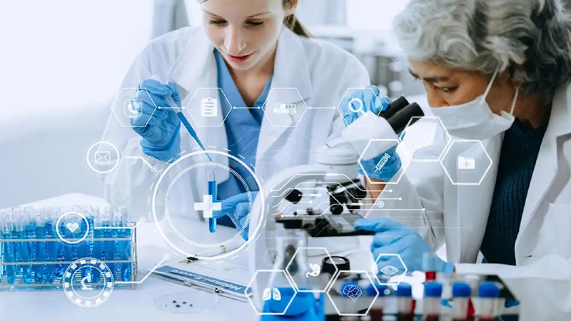 高低温湿热试验箱的灵活适配与痛点解决能力